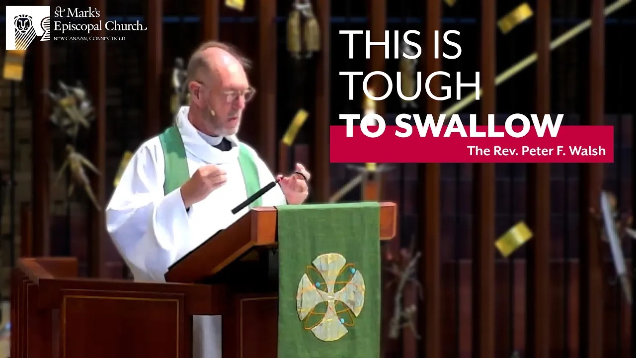 08.25.24 “Gnawing Gospel” | Rev. Peter F. Walsh